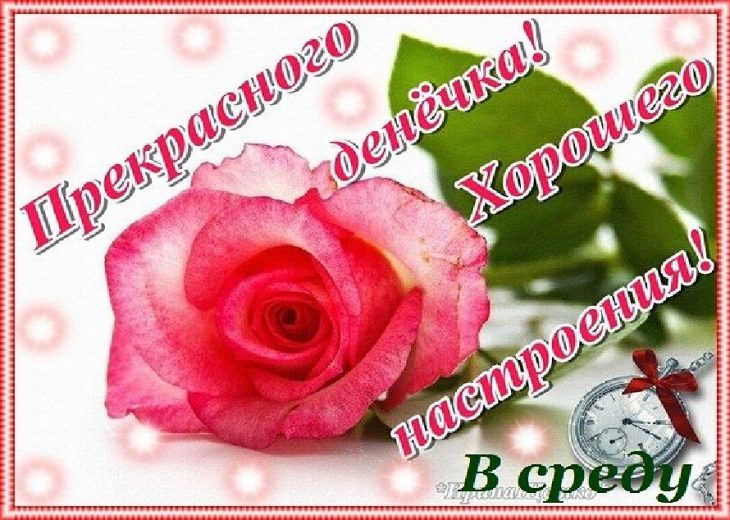 Открытки